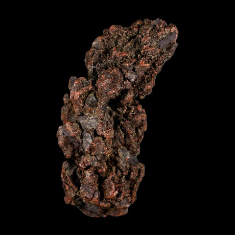 2.9" Prehistoric Coprolite Fossil Specimen Poop Dung Miocene Madagascar - Fossil Age Minerals
