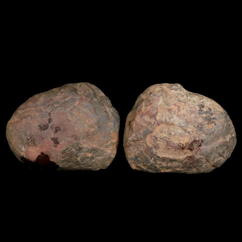 XL 4.1" Septarian Dragon Stone Polished Halves Nodule Mineral Specimen Morocco - Fossil Age Minerals