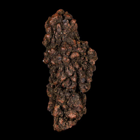 3.1" Prehistoric Coprolite Fossil Specimen Poop Dung Miocene Madagascar - Fossil Age Minerals