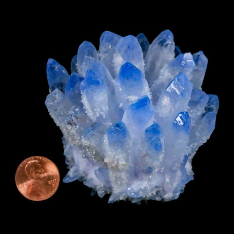 3" Ice Blue Phantom Ghost Quartz Crystal, Chlorite Cluster Mineral Specimen - Fossil Age Minerals
