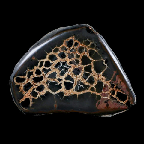 XL 4" Septarian Dragon Stone Polished Halves Nodule Mineral Specimen Morocco - Fossil Age Minerals