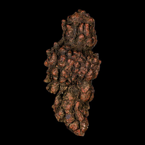 3.1" Prehistoric Coprolite Fossil Specimen Poop Dung Miocene Madagascar - Fossil Age Minerals