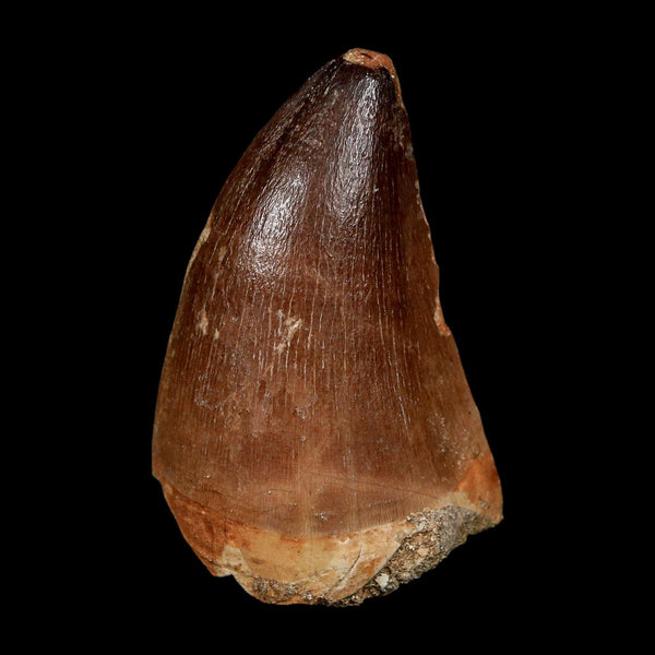XL 2.3