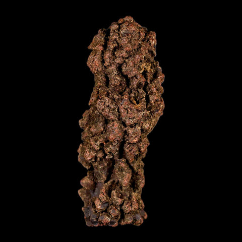 3.2" Prehistoric Coprolite Fossil Specimen Poop Dung Miocene Madagascar - Fossil Age Minerals