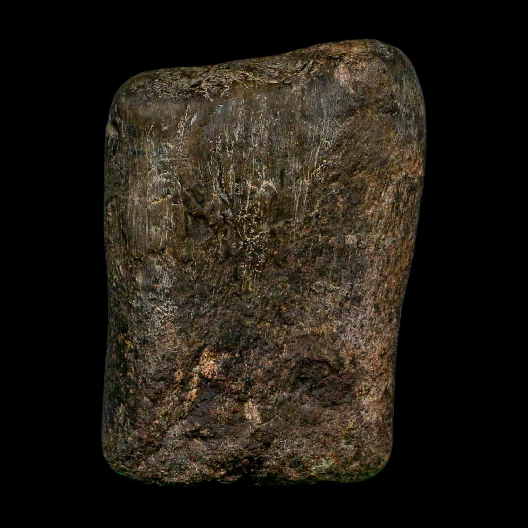 3.6" Hypacrosaurus Dinosaur Fossil Toe Bone Two Medicine FM Montana COA Stand - Fossil Age Minerals