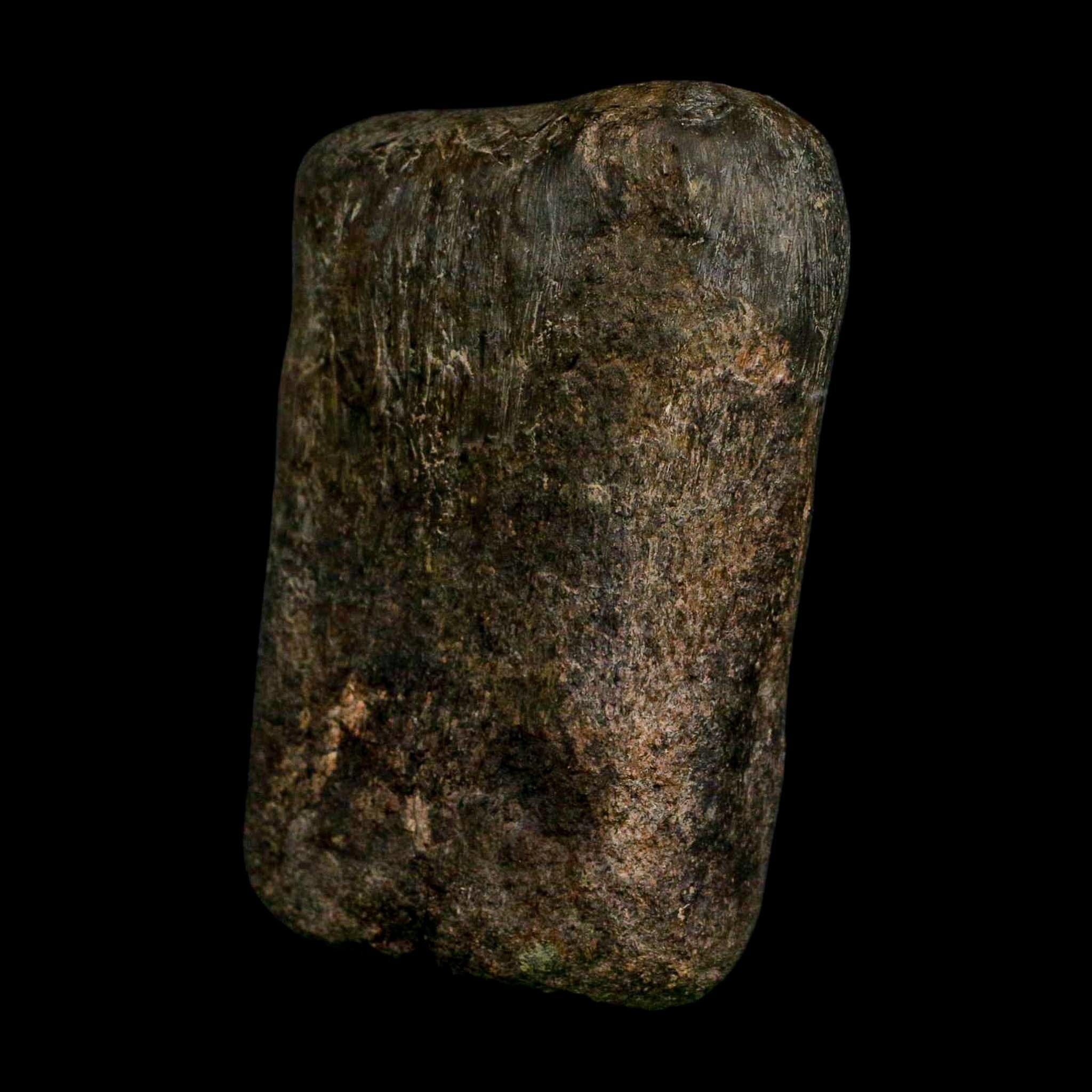 3.6" Hypacrosaurus Dinosaur Fossil Toe Bone Two Medicine FM Montana COA Stand - Fossil Age Minerals