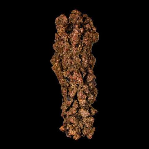 3.2" Prehistoric Coprolite Fossil Specimen Poop Dung Miocene Madagascar - Fossil Age Minerals