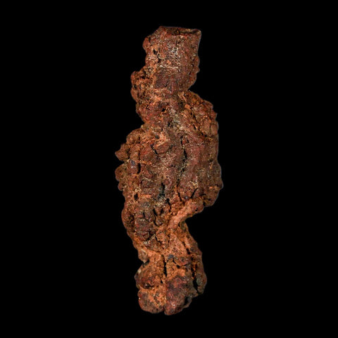3.3" Prehistoric Coprolite Fossil Specimen Poop Dung Miocene Madagascar - Fossil Age Minerals
