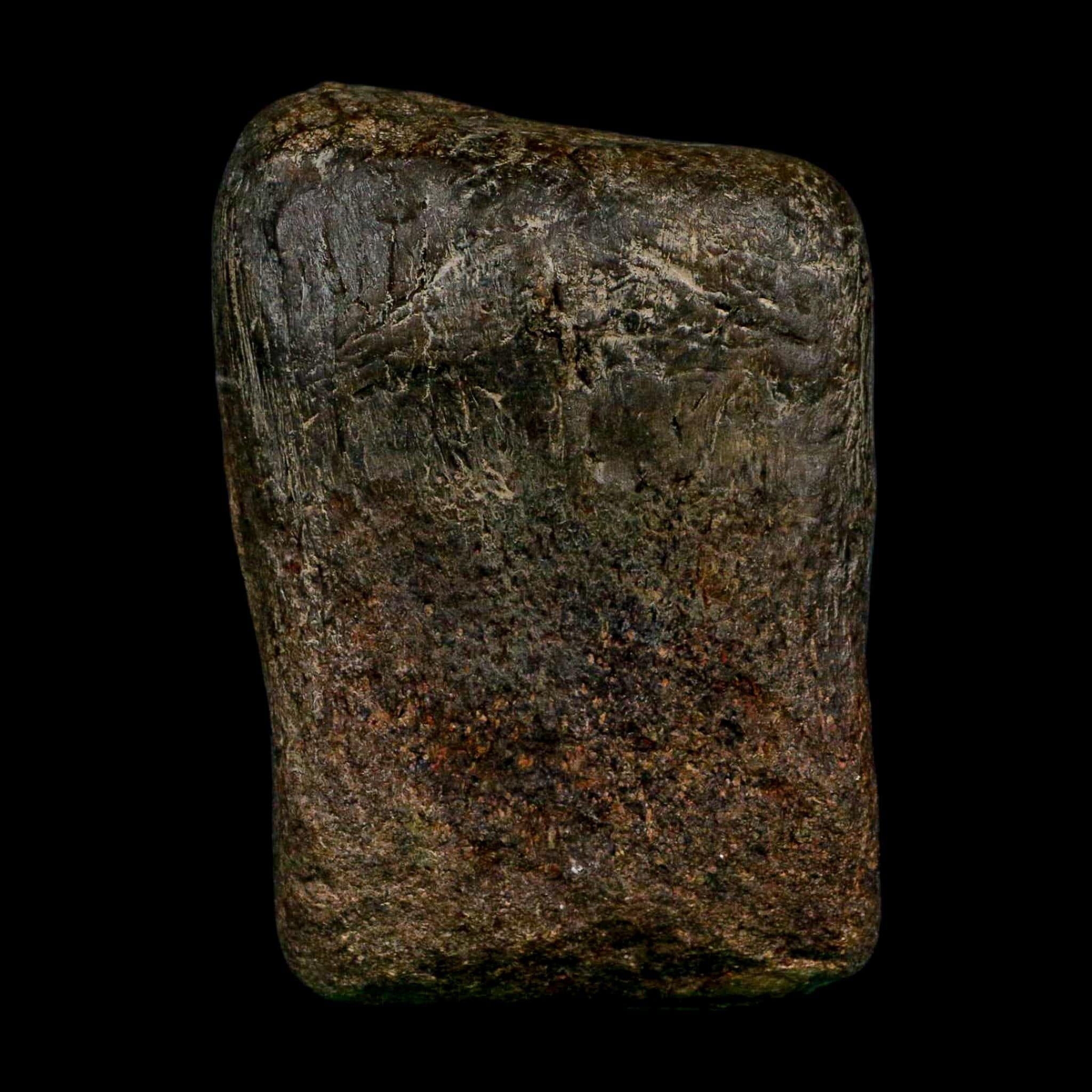 3.6" Hypacrosaurus Dinosaur Fossil Toe Bone Two Medicine FM Montana COA Stand - Fossil Age Minerals