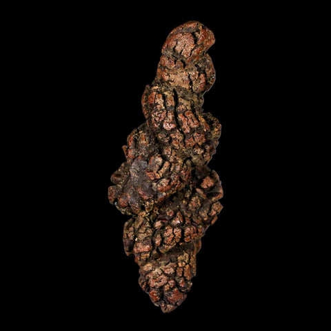 3.2" Prehistoric Coprolite Fossil Specimen Poop Dung Miocene Madagascar - Fossil Age Minerals