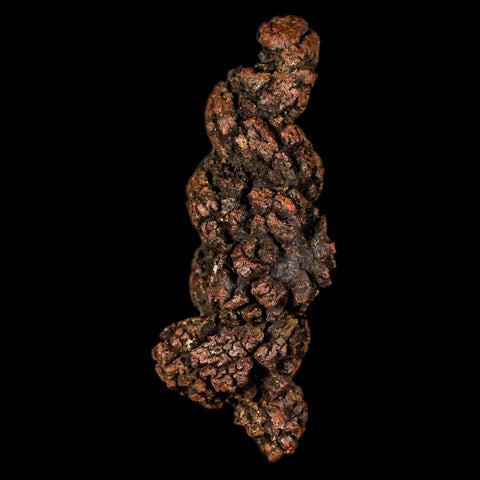 3.2" Prehistoric Coprolite Fossil Specimen Poop Dung Miocene Madagascar - Fossil Age Minerals