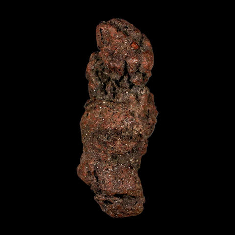 2.9" Prehistoric Coprolite Fossil Specimen Poop Dung Miocene Madagascar - Fossil Age Minerals
