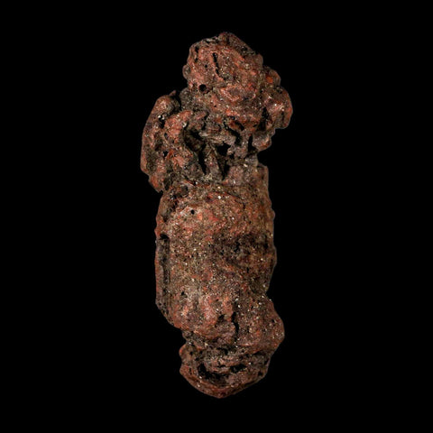 2.9" Prehistoric Coprolite Fossil Specimen Poop Dung Miocene Madagascar - Fossil Age Minerals