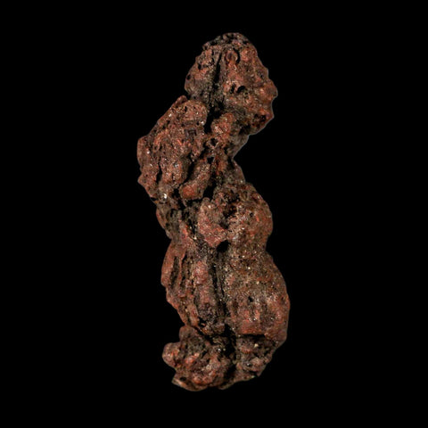 2.9" Prehistoric Coprolite Fossil Specimen Poop Dung Miocene Madagascar - Fossil Age Minerals