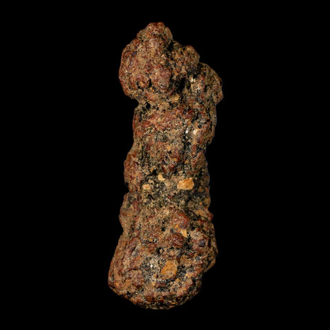3" Prehistoric Coprolite Fossil Specimen Poop Dung Miocene Madagascar - Fossil Age Minerals