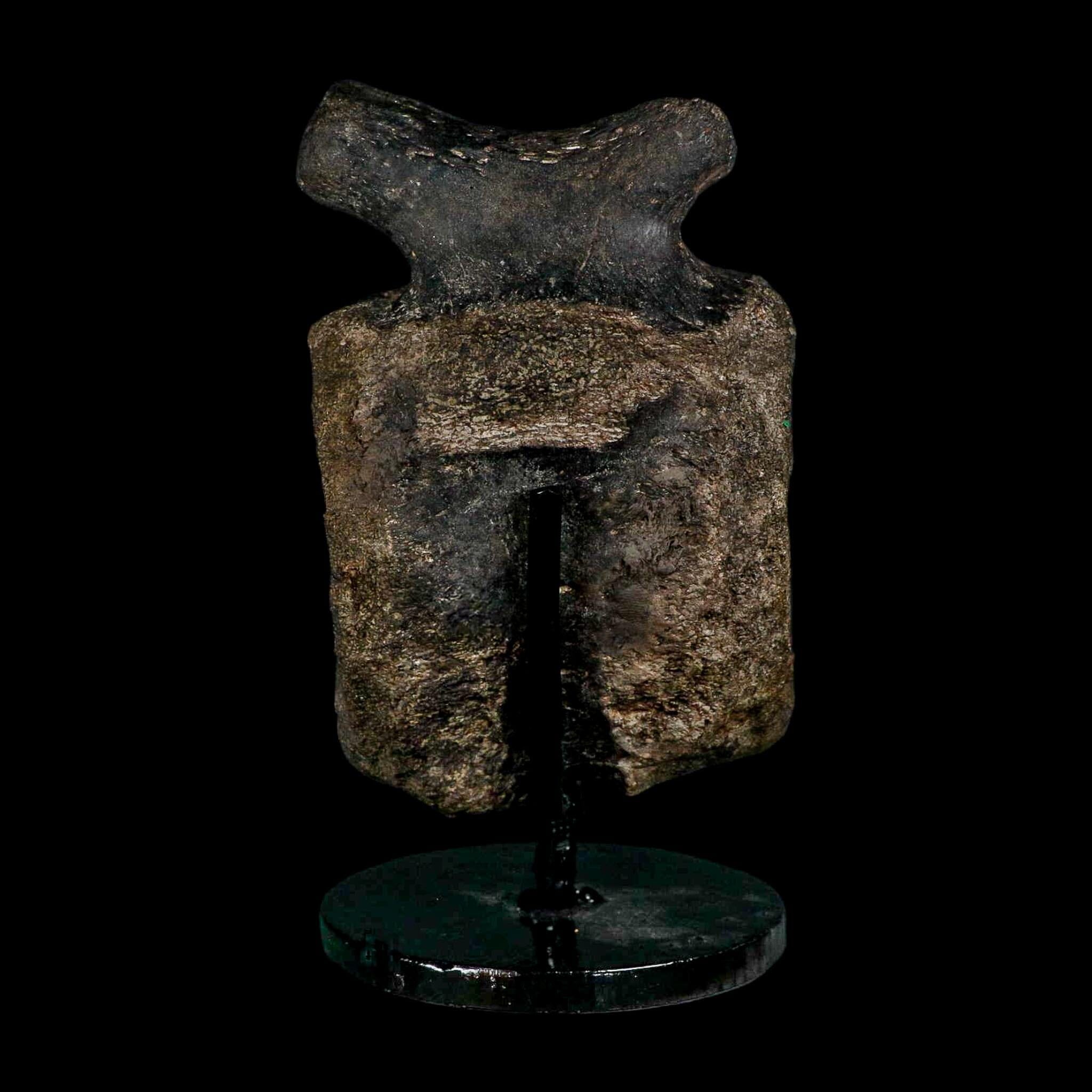 4.4" Hypacrosaurus Dinosaur Fossil Vertebrae Bone Two Medicine FM MT COA Stand - Fossil Age Minerals