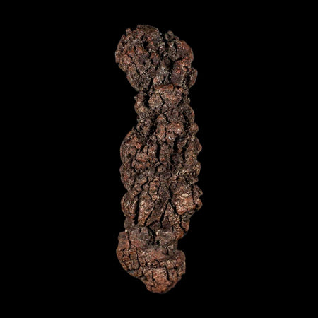 3.2" Prehistoric Coprolite Fossil Specimen Poop Dung Miocene Madagascar