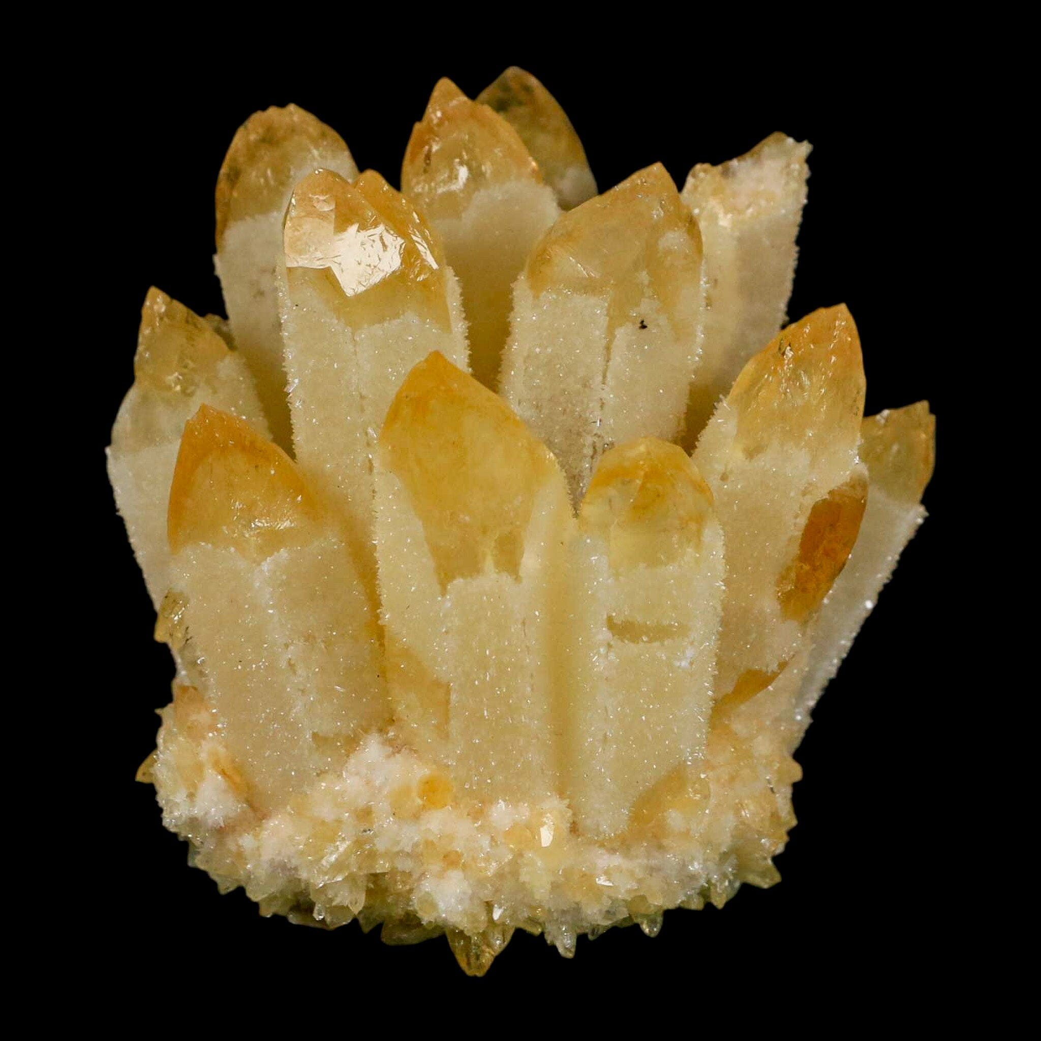 2.9" Yellow Phantom Ghost Quartz Crystal, Chlorite Cluster Mineral Specimen - Fossil Age Minerals