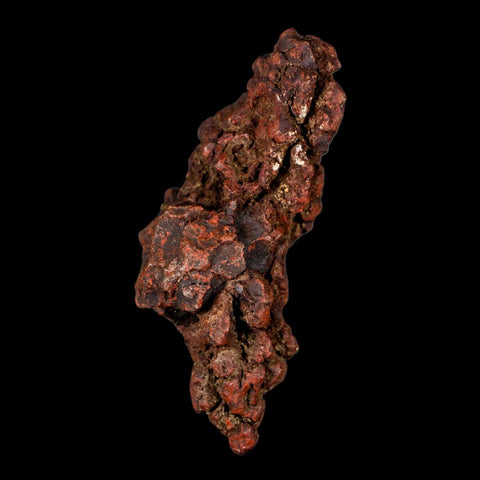 3.2" Prehistoric Coprolite Fossil Specimen Poop Dung Miocene Madagascar - Fossil Age Minerals