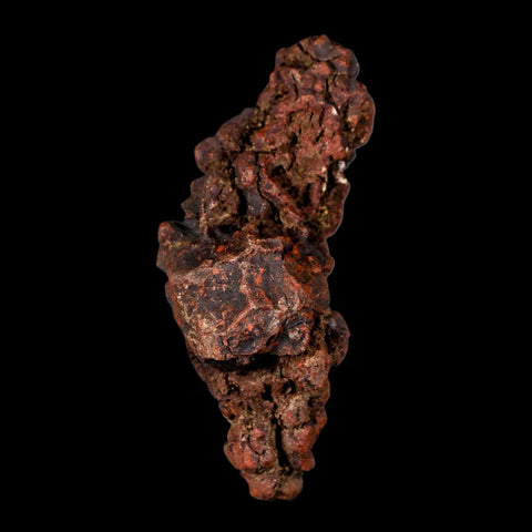 3.2" Prehistoric Coprolite Fossil Specimen Poop Dung Miocene Madagascar - Fossil Age Minerals