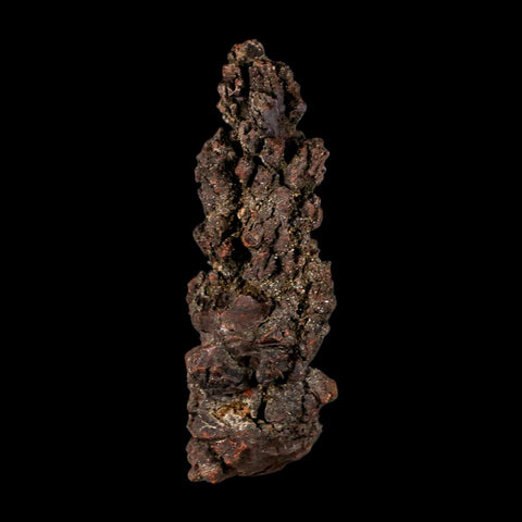 3.5" Prehistoric Coprolite Fossil Specimen Poop Dung Miocene Madagascar - Fossil Age Minerals