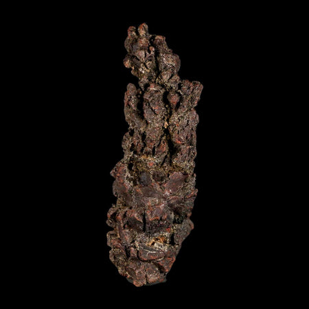 3.5" Prehistoric Coprolite Fossil Specimen Poop Dung Miocene Madagascar