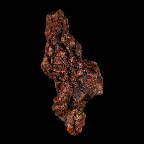 3.2" Prehistoric Coprolite Fossil Specimen Poop Dung Miocene Madagascar - Fossil Age Minerals