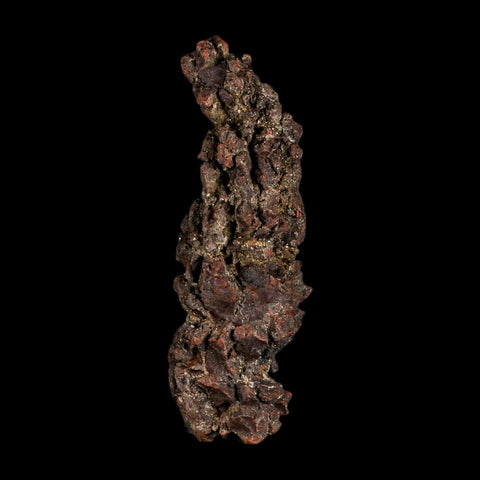3.5" Prehistoric Coprolite Fossil Specimen Poop Dung Miocene Madagascar - Fossil Age Minerals