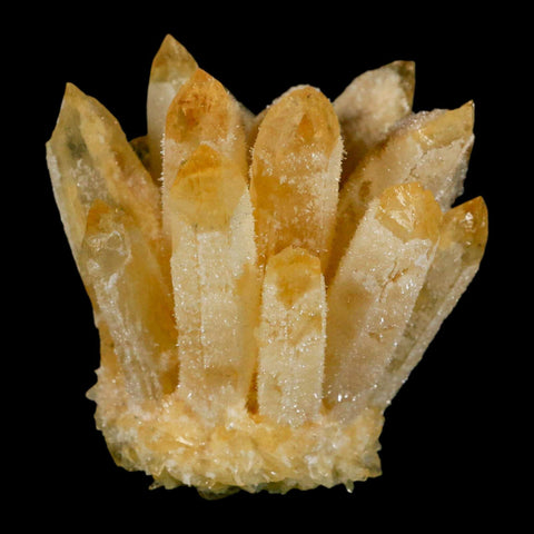 2.8" Yellow Phantom Ghost Quartz Crystal, Chlorite Cluster Mineral Specimen - Fossil Age Minerals