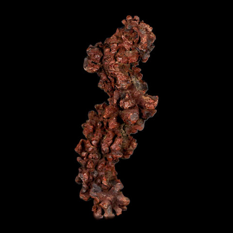 3.4" Prehistoric Coprolite Fossil Specimen Poop Dung Miocene Madagascar - Fossil Age Minerals