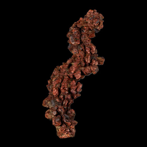 3.4" Prehistoric Coprolite Fossil Specimen Poop Dung Miocene Madagascar - Fossil Age Minerals