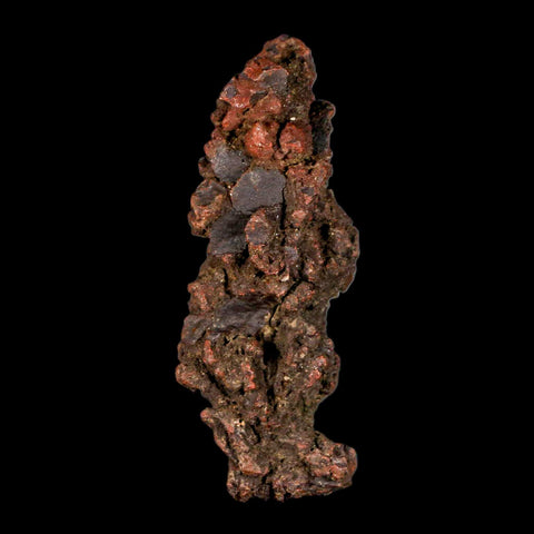 3.1" Prehistoric Coprolite Fossil Specimen Poop Dung Miocene Madagascar - Fossil Age Minerals