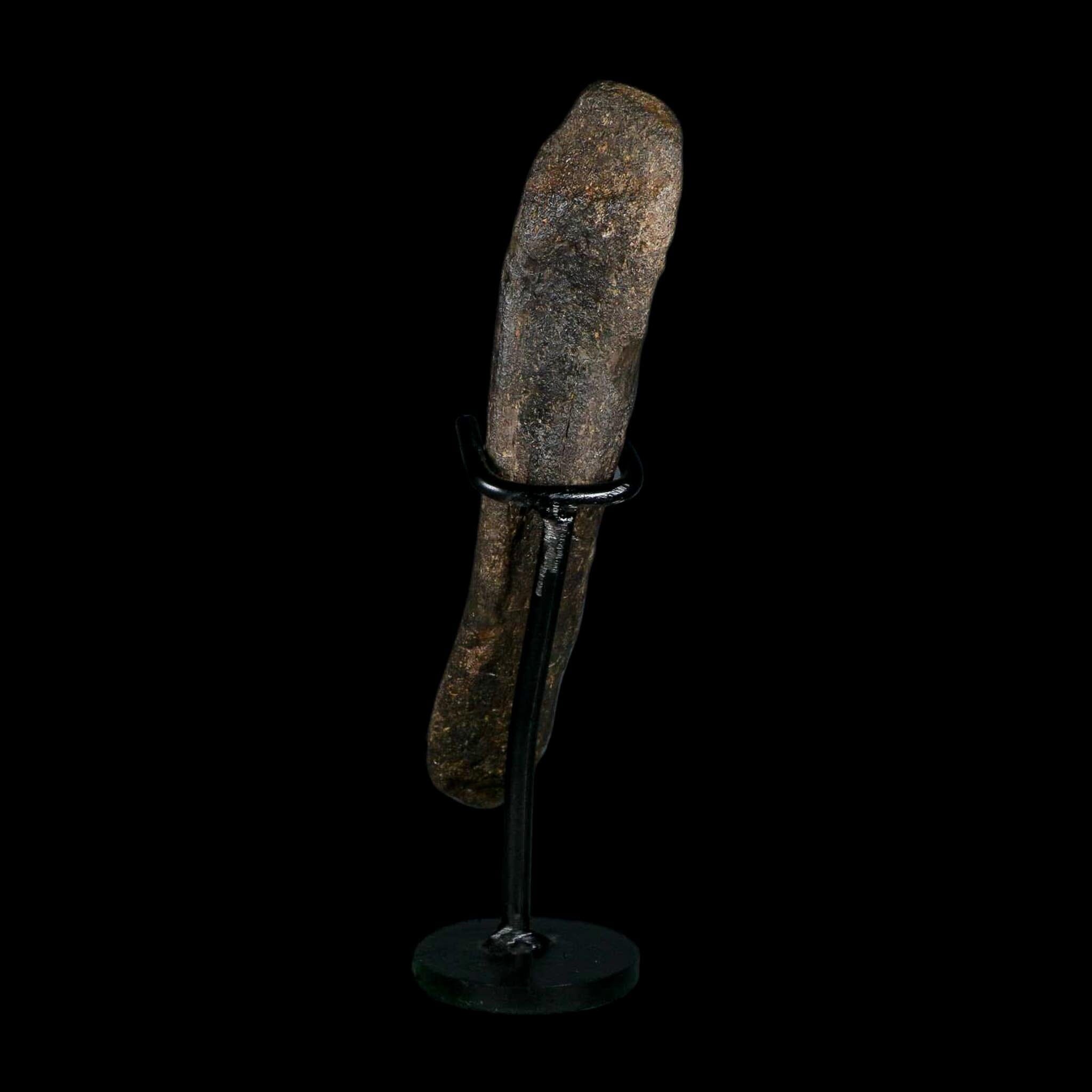 6.8" Hypacrosaurus Dinosaur Fossil Metacarpal Bone Two Medicine FM MT COA Stand - Fossil Age Minerals