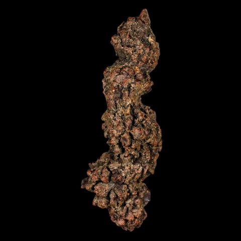 3.6" Prehistoric Coprolite Fossil Specimen Poop Dung Miocene Madagascar - Fossil Age Minerals