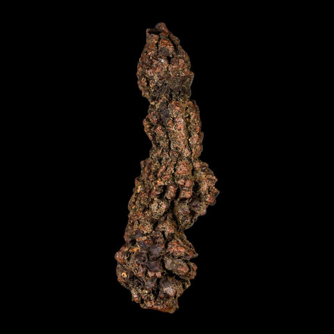 3.6" Prehistoric Coprolite Fossil Specimen Poop Dung Miocene Madagascar - Fossil Age Minerals
