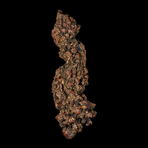 3.6" Prehistoric Coprolite Fossil Specimen Poop Dung Miocene Madagascar - Fossil Age Minerals