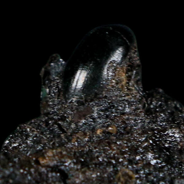 0.3