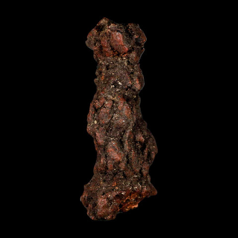 3.3" Prehistoric Coprolite Fossil Specimen Poop Dung Miocene Madagascar - Fossil Age Minerals