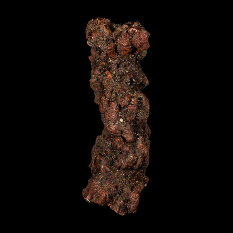 3.3" Prehistoric Coprolite Fossil Specimen Poop Dung Miocene Madagascar - Fossil Age Minerals