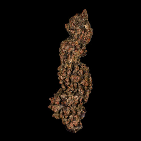 3.6" Prehistoric Coprolite Fossil Specimen Poop Dung Miocene Madagascar - Fossil Age Minerals