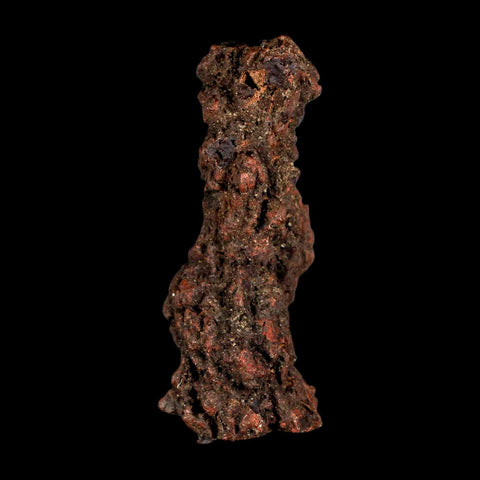 3.3" Prehistoric Coprolite Fossil Specimen Poop Dung Miocene Madagascar - Fossil Age Minerals