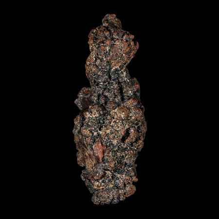 3.6" Prehistoric Coprolite Fossil Specimen Poop Dung Miocene Madagascar