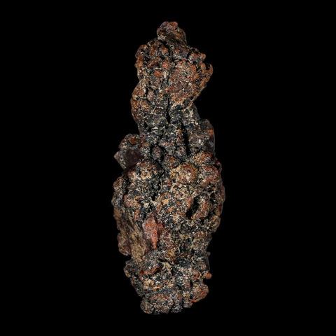 3.6" Prehistoric Coprolite Fossil Specimen Poop Dung Miocene Madagascar - Fossil Age Minerals