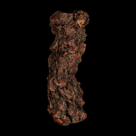 3.3" Prehistoric Coprolite Fossil Specimen Poop Dung Miocene Madagascar - Fossil Age Minerals