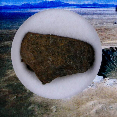 Canyon Diablo Arizona Meteorite Specimen Iron-Nickel Meteorites 7.38 Grams Display