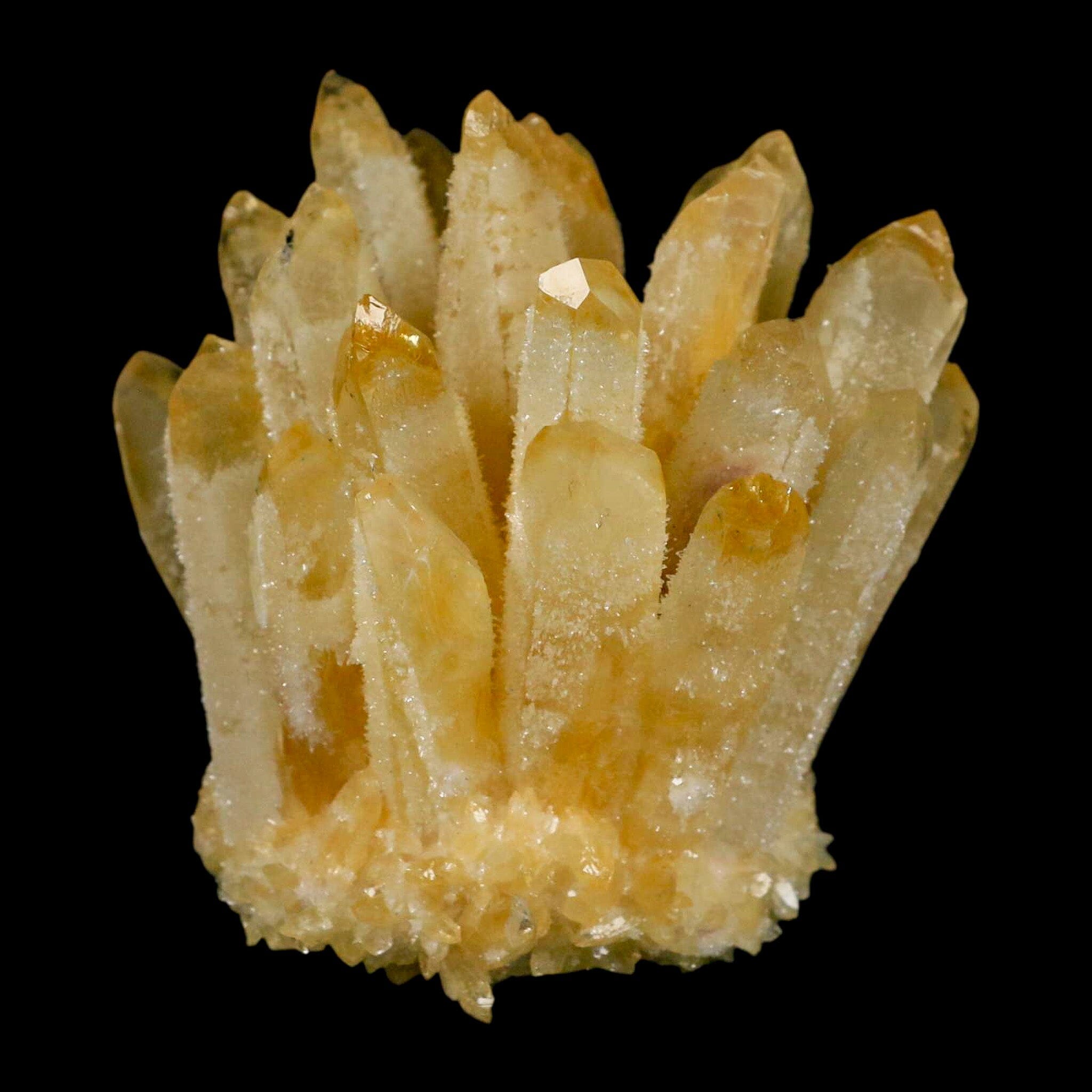 3.1" Yellow Phantom Ghost Quartz Crystal, Chlorite Cluster Mineral Specimen - Fossil Age Minerals