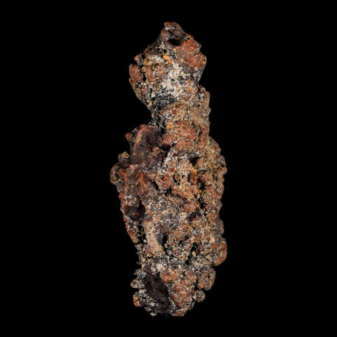 3.6" Prehistoric Coprolite Fossil Specimen Poop Dung Miocene Madagascar - Fossil Age Minerals