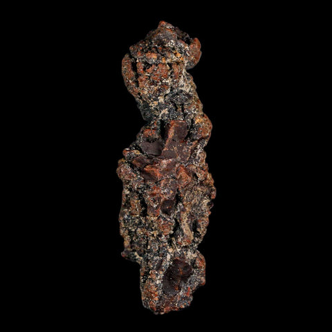 3.6" Prehistoric Coprolite Fossil Specimen Poop Dung Miocene Madagascar - Fossil Age Minerals
