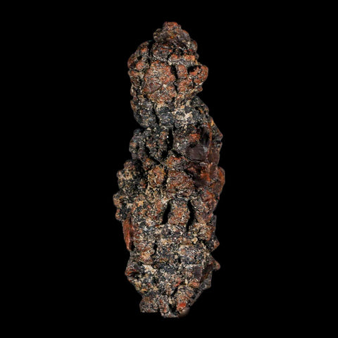 3.6" Prehistoric Coprolite Fossil Specimen Poop Dung Miocene Madagascar - Fossil Age Minerals
