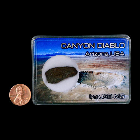 1.1" Canyon Diablo Arizona Meteorite Specimen Iron-Nickel Meteorites 6.18 Grams Display - Fossil Age Minerals